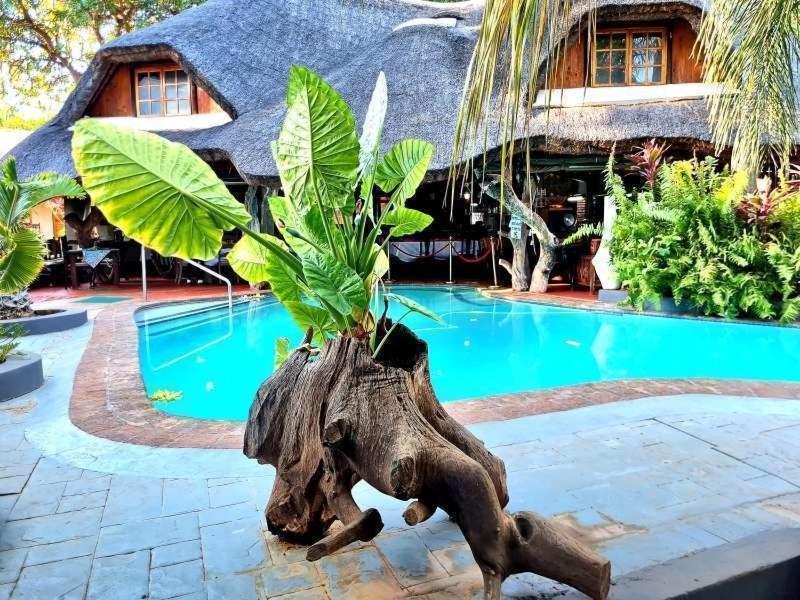 Dei Gratia Guest House موسينا المظهر الخارجي الصورة